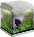 Milo 30 Cubik Aquarium