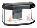 Aquarium Advance 80 Panorama Vision